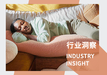 睡眠产品行业洞察（一）