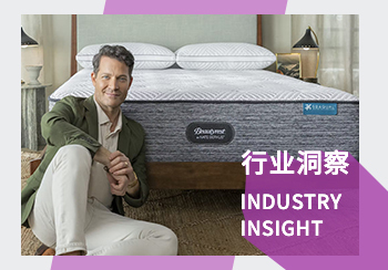 睡眠产品行业洞察（二）